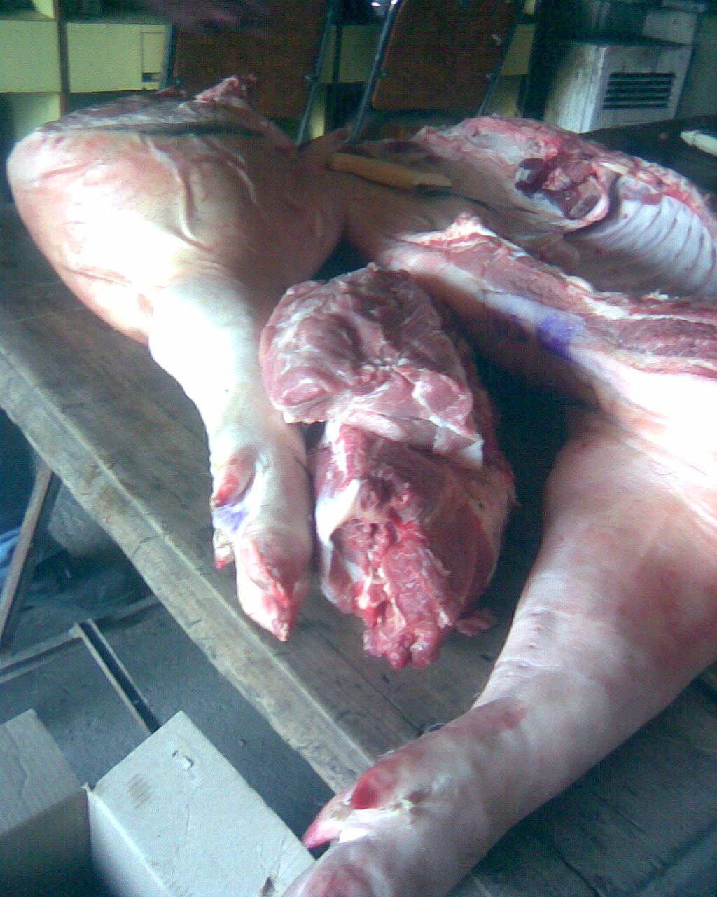 fotos/2009-06-10 - Carneada/Imagen032.jpg